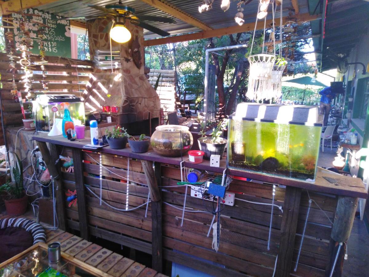 ווינדהוק Xenia Bed & Breakfast מראה חיצוני תמונה