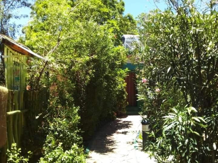 ווינדהוק Xenia Bed & Breakfast מראה חיצוני תמונה